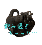 お酒とネコ好きな日常会話23（個別スタンプ：5）