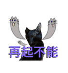 お酒とネコ好きな日常会話23（個別スタンプ：26）