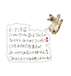 お酒とネコ好きな日常会話23（個別スタンプ：27）