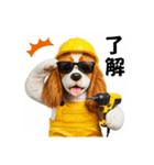 コーイケルホンディエの現場仕事⭐現場犬（個別スタンプ：5）