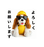 コーイケルホンディエの現場仕事⭐現場犬（個別スタンプ：7）