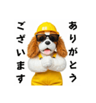 コーイケルホンディエの現場仕事⭐現場犬（個別スタンプ：9）