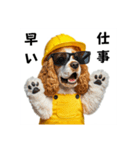 コーイケルホンディエの現場仕事⭐現場犬（個別スタンプ：10）