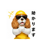 コーイケルホンディエの現場仕事⭐現場犬（個別スタンプ：11）