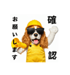 コーイケルホンディエの現場仕事⭐現場犬（個別スタンプ：15）