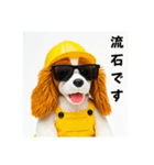 コーイケルホンディエの現場仕事⭐現場犬（個別スタンプ：21）