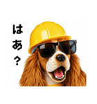 コーイケルホンディエの現場仕事⭐現場犬（個別スタンプ：24）