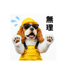 コーイケルホンディエの現場仕事⭐現場犬（個別スタンプ：26）