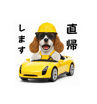 コーイケルホンディエの現場仕事⭐現場犬（個別スタンプ：34）