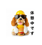 コーイケルホンディエの現場仕事⭐現場犬（個別スタンプ：36）