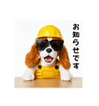 コーイケルホンディエの現場仕事⭐現場犬（個別スタンプ：38）