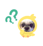 すずちゃん 大好き（個別スタンプ：10）