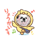 すずちゃん 大好き（個別スタンプ：13）