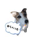 ルーク（2）（個別スタンプ：3）