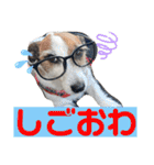 ルーク（2）（個別スタンプ：4）