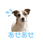 ルーク（2）（個別スタンプ：9）