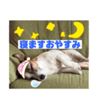 ルーク（2）（個別スタンプ：10）