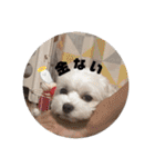 ルーク（2）（個別スタンプ：11）