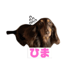 ルーク（2）（個別スタンプ：16）