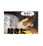 ルーク（2）（個別スタンプ：22）
