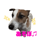 ルーク（2）（個別スタンプ：31）