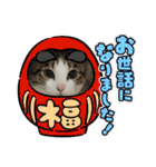 ねこちゃんいたずらちゃん（個別スタンプ：9）