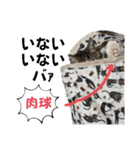 ねこちゃんいたずらちゃん（個別スタンプ：26）