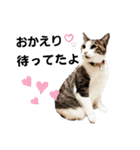 ねこちゃんいたずらちゃん（個別スタンプ：32）