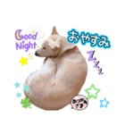 らぶちゃん4（個別スタンプ：5）