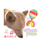 らぶちゃん4（個別スタンプ：6）