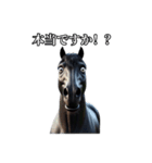 リアル動物 馬（黒鹿毛）敬語（個別スタンプ：10）