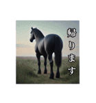 リアル動物 馬（黒鹿毛）敬語（個別スタンプ：40）