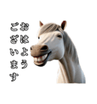 リアル動物 馬（白毛）敬語（個別スタンプ：1）