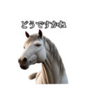 リアル動物 馬（白毛）敬語（個別スタンプ：35）