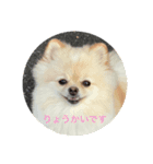 のわみるくvol.3（個別スタンプ：7）