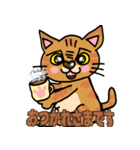 猫兄弟 ちゃあとぐう（個別スタンプ：3）