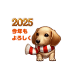 ダックス2025newyear（個別スタンプ：4）