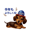 ダックス2025newyear（個別スタンプ：12）