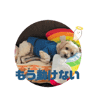 まるたすたんぷ！ぷぷぷ（個別スタンプ：3）