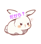 全然許してないうさぎ（個別スタンプ：3）