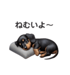 ダックスは世界を救う～パピー編③～（個別スタンプ：7）