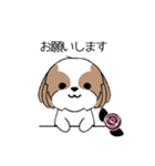 シーズー犬スタンプ Stickers_Shih Tzu Dog（個別スタンプ：6）