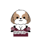 シーズー犬スタンプ Stickers_Shih Tzu Dog（個別スタンプ：10）