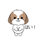 シーズー犬スタンプ Stickers_Shih Tzu Dog（個別スタンプ：18）