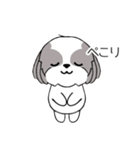 シーズー犬スタンプ Stickers_Shih Tzu Dog（個別スタンプ：19）