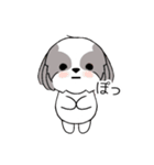 シーズー犬スタンプ Stickers_Shih Tzu Dog（個別スタンプ：21）