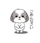 シーズー犬スタンプ Stickers_Shih Tzu Dog（個別スタンプ：24）