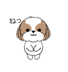 シーズー犬スタンプ Stickers_Shih Tzu Dog（個別スタンプ：25）