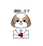 シーズー犬スタンプ Stickers_Shih Tzu Dog（個別スタンプ：27）