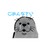 こんにちは、あざらしさん（個別スタンプ：3）